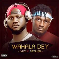 DJLV X MR SHAA - WAHALA DEY