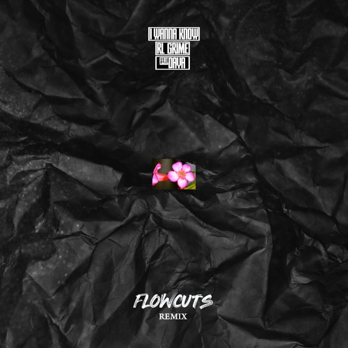 Stream RL Grime I Wanna Know (Flowcuts Remix) by Flowcuts Listen