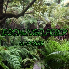 OpticTuning - Dschungelfieber Open Air 01.09.2018