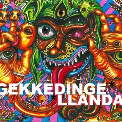 Gekkedinge
