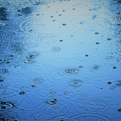 SP - Last days, again