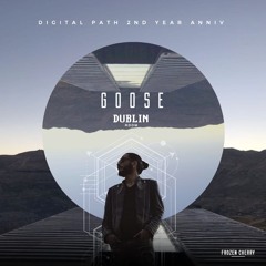 Goose Tann - Dublin room ( Digital path 2nd year anniversary 2018  )