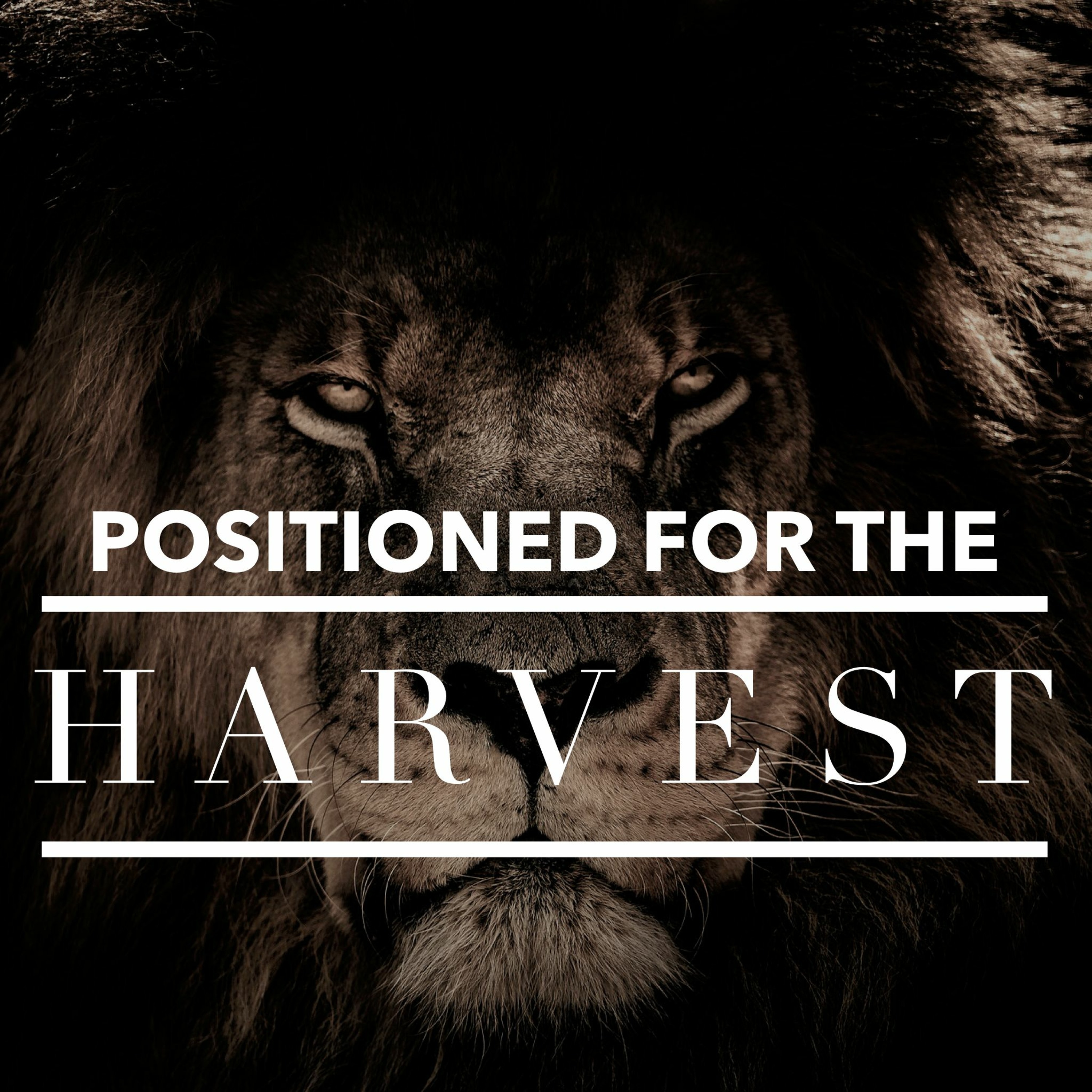 The Revival Hub
