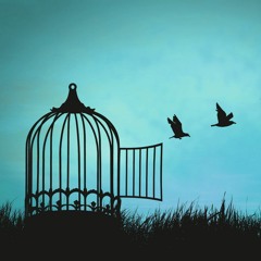 Asfour - Oumaima Khalil (Cover)