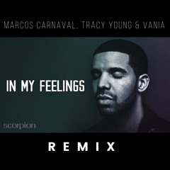 Drake - In My Feelings (Marcos Carnaval, Tracy Young & Vania Remix)