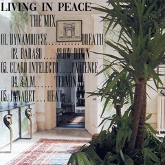 living in peace: the mix
