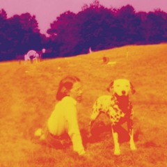 Eels - Railroad Man (cover)