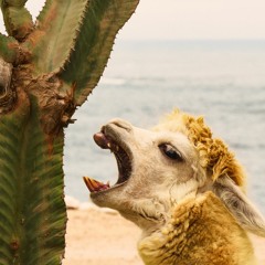 Fire In The Hose // Heavy Bass Original Beat // Free