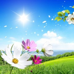 PACK PRIMAVERA 2018==FUSION (MASCULINO FEAT FEMENINO)