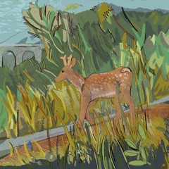 Drought (Song of California)