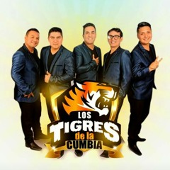 Los Tigres De La Cumbia - Ahí Un Hombre / VegaExito Septiembre 2018
