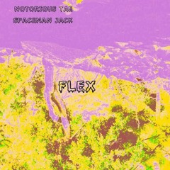 Notorious Tae - FLEX (prod. spaceman)