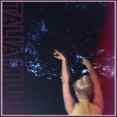 Sheep In Wolves Clothing