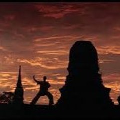 Hardwired Macgyver Fiber Wire