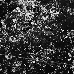 Existence Of Soundscapes Pt.5