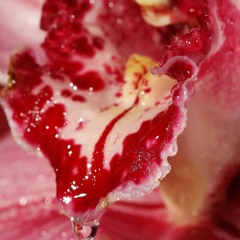 Guestmix for Club Jamz @ Wide Radio