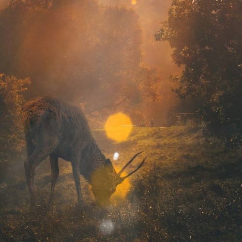 Kiesza - Hideaway ( DJ s.O ) with ( This is PH ft alex Lim Zea Reach And seth seth ) mix 2017