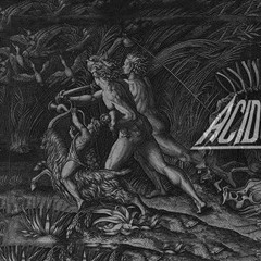 Dark evasion - [AcidCore Test]