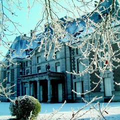 WhiteWinterCastle