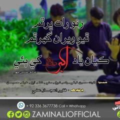 RUNO RAAT BHAR THAM - ZAMIN ALI New Exclusive Noha With Dhandh 2018-19