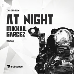 Shakedown - At Night (Mikhail Garcez Bootleg)