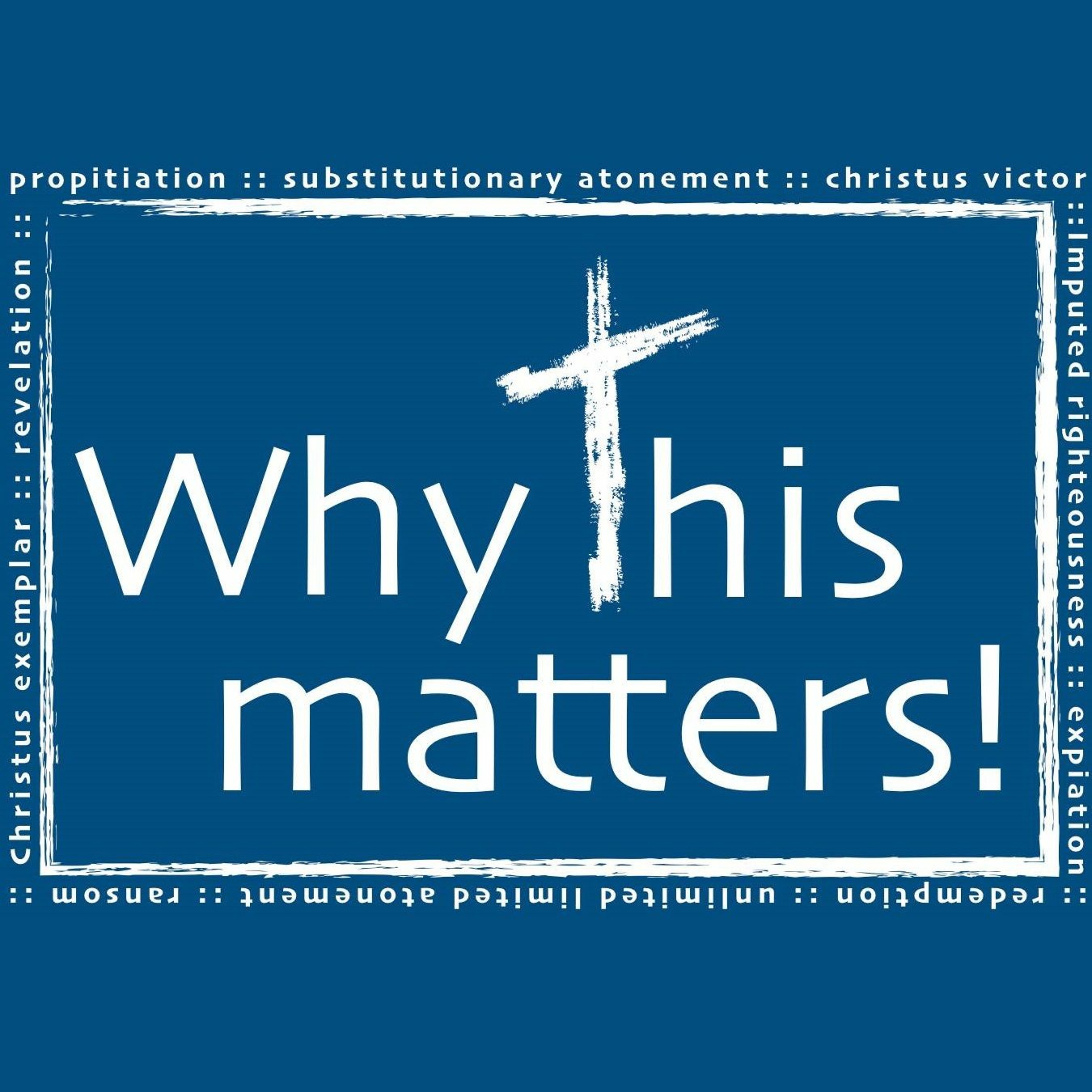 Why This Matters episode artwork