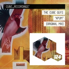 The Cube Guys - Apum