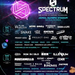 Spectrum Dance Music Festival Day 2