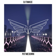 DJ Timkee - Put Me Down [Original Mix]