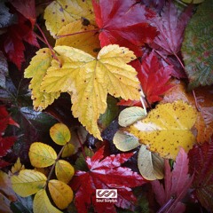 Soul Surplus :: Autumn Bliss (Demo)