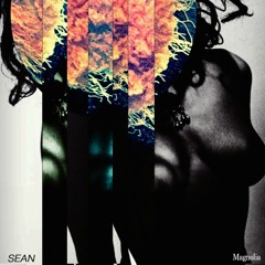 Sean - Magnolia