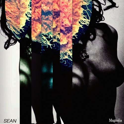 Sean - Magnolia