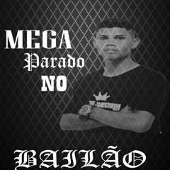 MEGA PARADO NO BAILÃO 2018 - DJ LEONARDO SC
