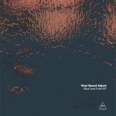 B1. Vinyl Speed Adjust - Noek