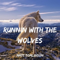 Runnin With The Wolves (Marshmello X Hardwell X Wholm)