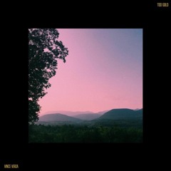 Too Gold (prod. Sherpa Music)