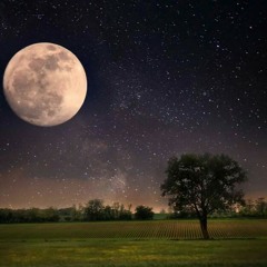 و يسألونك عن الجبال 💙