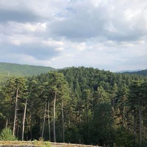 Miss I at Dancing Mountains 2.09.18
