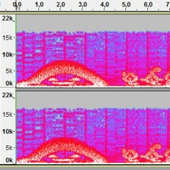 "Lavanville Cemetery" Pokemon Trap Type Beat (Prod. Maximilian)
