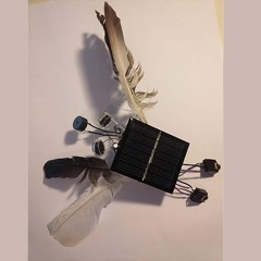 Tropical Jam [excerpt]