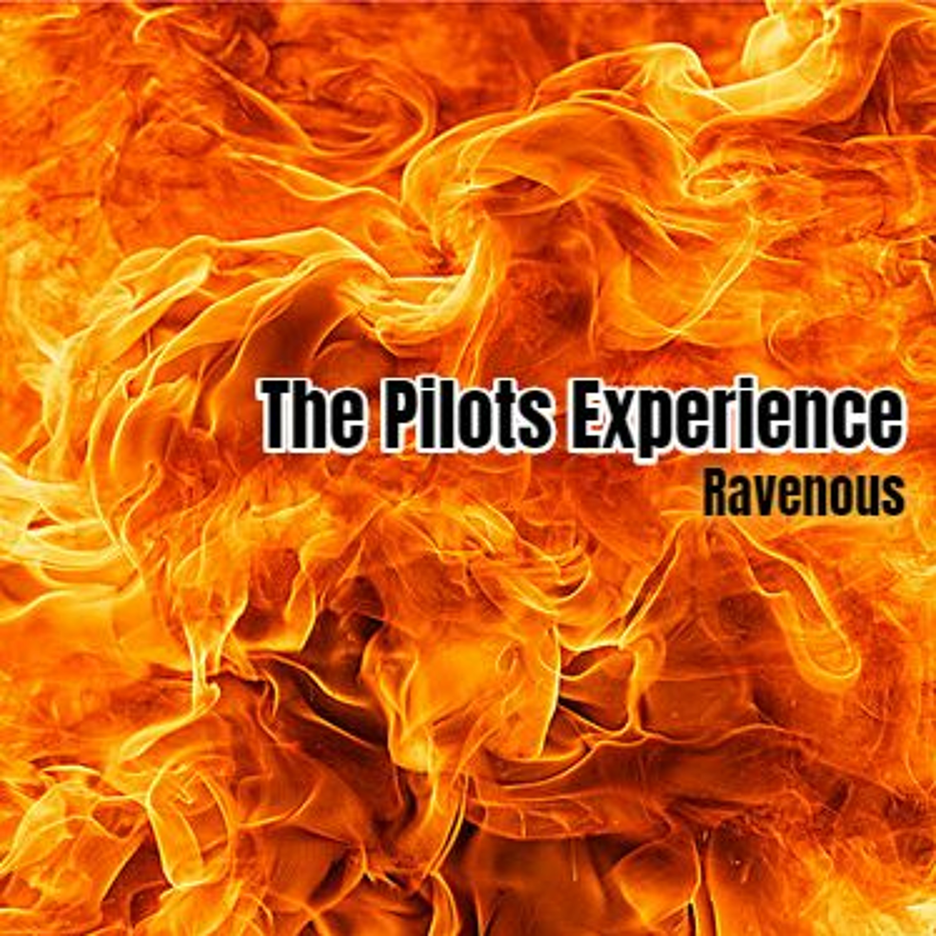 The Pilots Experience
