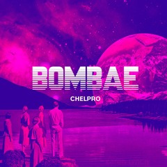 CH ElPro - BomBae