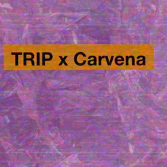 Trip (Carvena Cover)