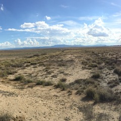 Midnight Stew - 'til the sun comes up