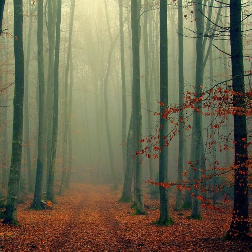 Seasons In The Abyss