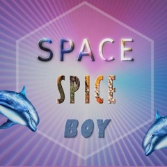 Space Spice Boy – Дельфин