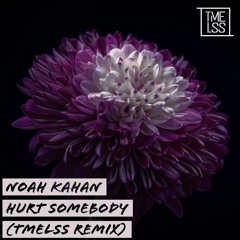 Noah Kahan - Hurt Somebody (TMELSS Remix)