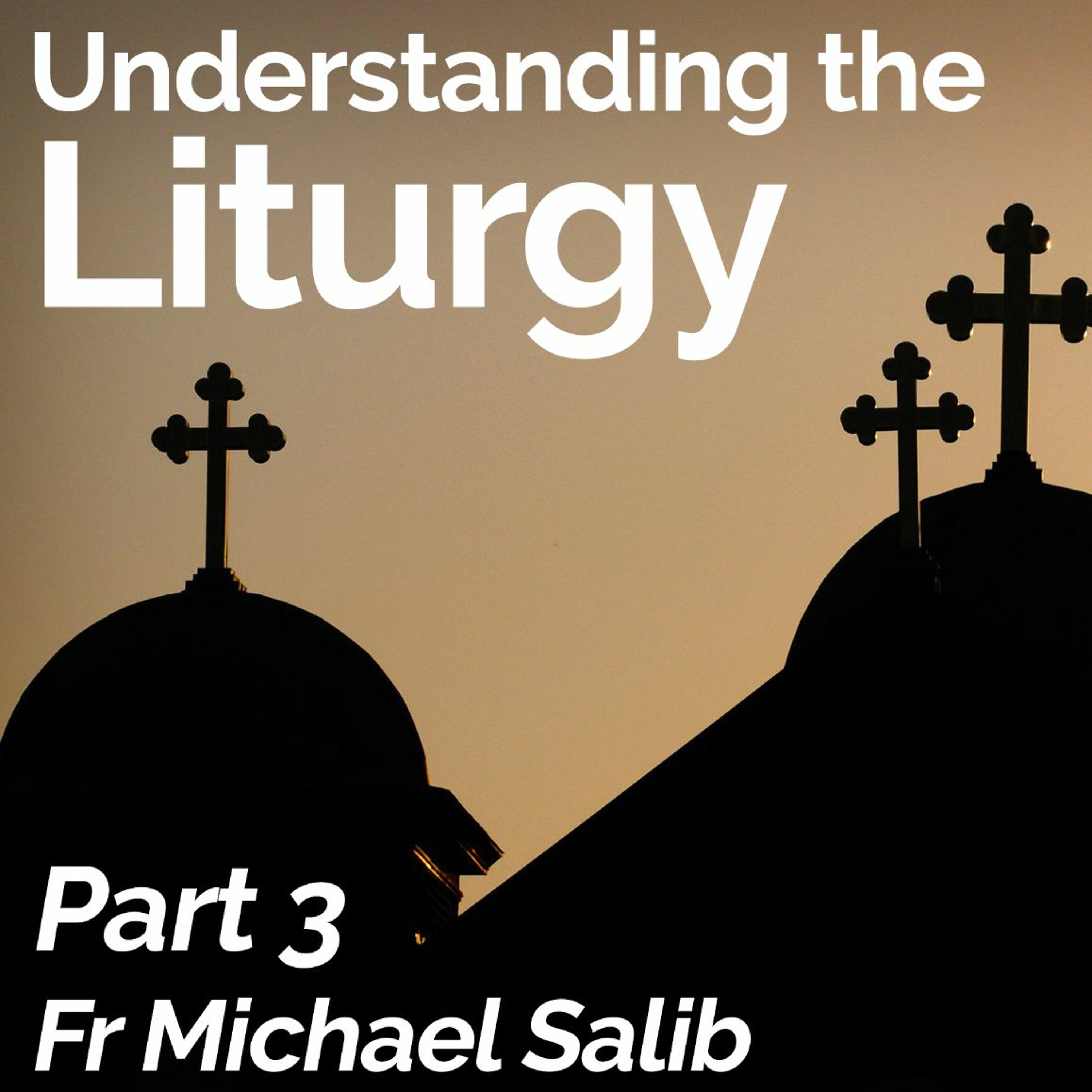 Understanding The Liturgy – Part 3 – Fr Michael Salib