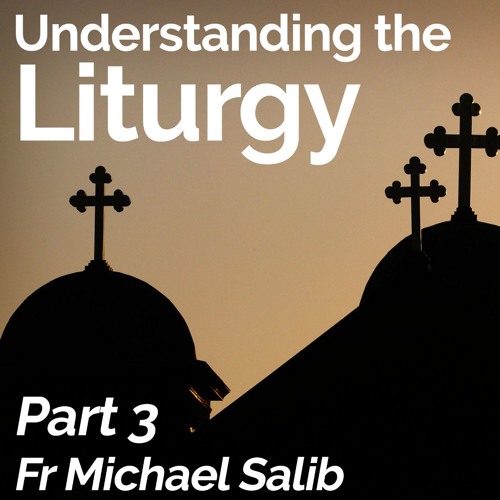 Understanding The Liturgy – Part 3 – Fr Michael Salib