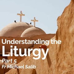 Understanding The Liturgy – Part 5 – Fr Michael Salib